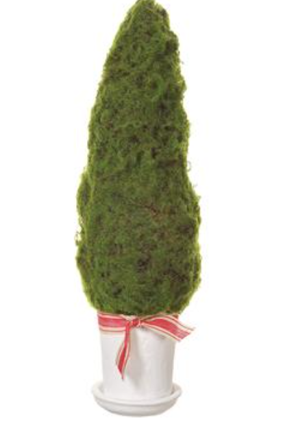 19" Moss Cone Topiary in Mgo Planter Green~pre-order