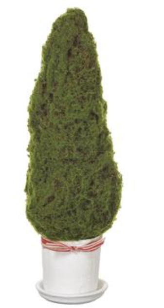 24.5" Moss Cone Topiary in Mgo Planter Green~pre-order