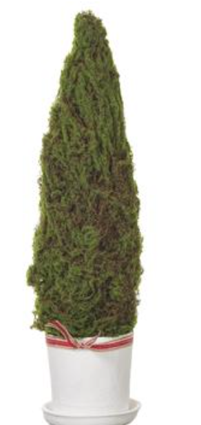 34" Moss Cone Topiary in Mgo Planter Green~pre-order