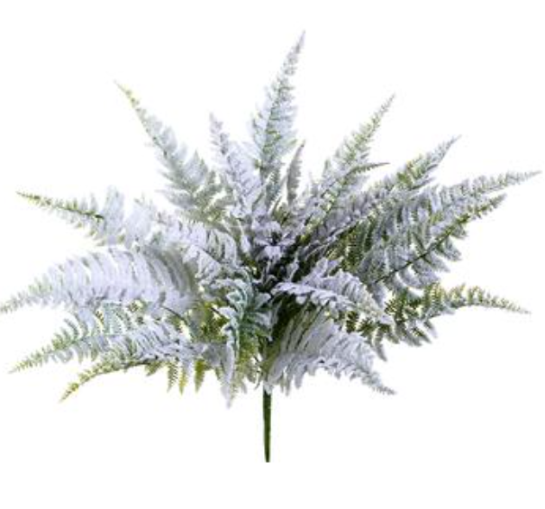 Snowed Fern Bush  Green Snow~pre-order